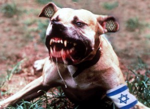 “Israel must be like a mad dog, too dangerous to bother.” — Israeli General Moshe Dayan